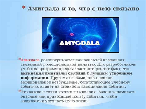 Амигдала – центр реакции на стресс и эмоциональной памяти
