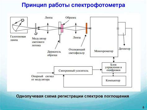 Белизна: сущность и принцип действия