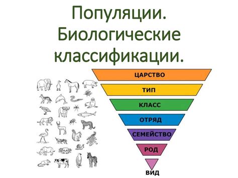 Биологическая классификация в мире растений