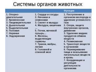 Важность и роль органов и систем для поддержания жизнедеятельности
