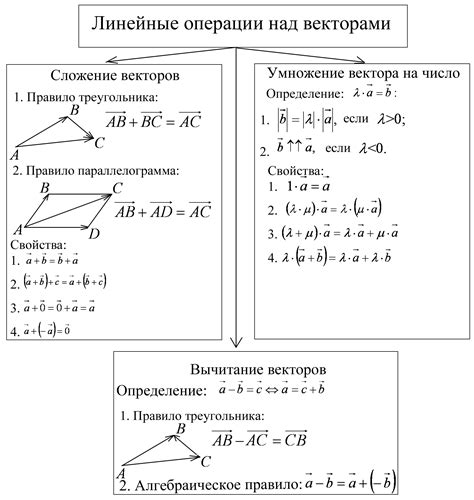 Векторы и их представление