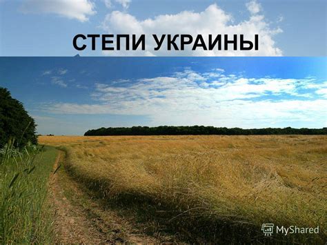 Взаимосвязь экологических условий и региональных характеристик