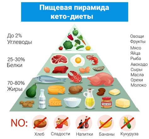 Влияние кукурузного крахмала на кето диету: плюсы и минусы