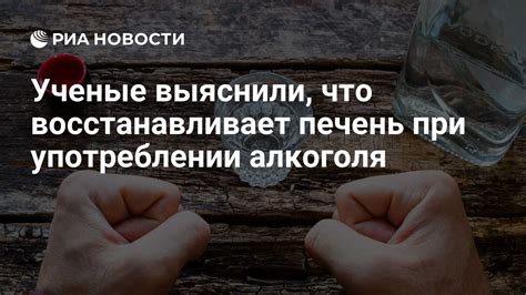 Влияние на функцию печени и почек при продолжительном употреблении алкоголя