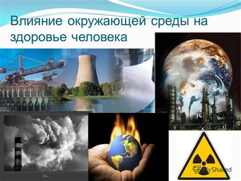 Влияние окружающей среды на толкование содержания сна с выпавшей пушистой животным