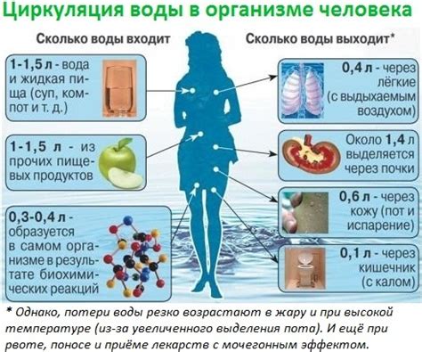 Влияние пропитки фиников в подслащенной жидкости на организм