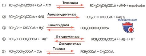 Влияние стеариновой кислоты на температуру плавления свечей