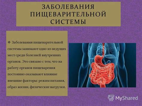 Влияние столбика на работу пищеварительной системы новорожденных