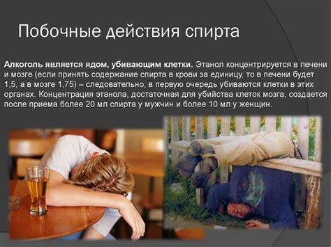 Влияние эффекта камфорного спирта на организм