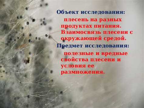 Возможность колонизации молевыми насекомыми в разных продуктах питания