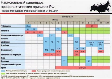 Время и место проведения вакцинации у детей: оптимальное расписание и удобные локации