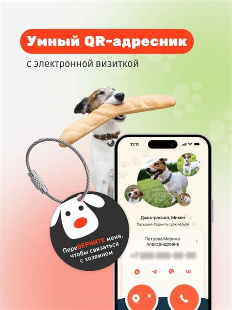 Выбор между SMS-кодом и приложением для аутентификации