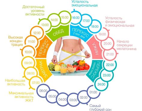 Диета и режим питания для устранения проблемы тонких голеней