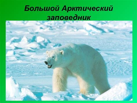 Заповедники на Аляске: Арктический и Каскадные горы