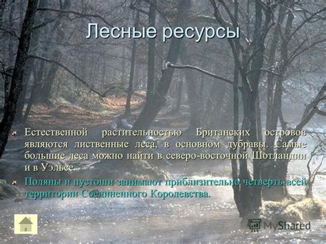 Зараженные территории: нахождение ценных ресурсов