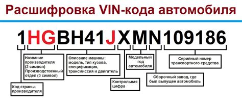 Зачем нужно знать и понимать VIN номер на автомобиле Ивеко Стралис