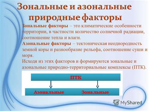 Зональные факторы: значимость и вклад в географические особенности
