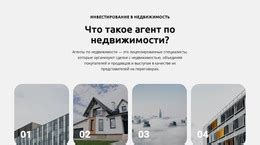 Исследуйте города и поселения, чтобы обнаружить прекрасных хвостатых спутников