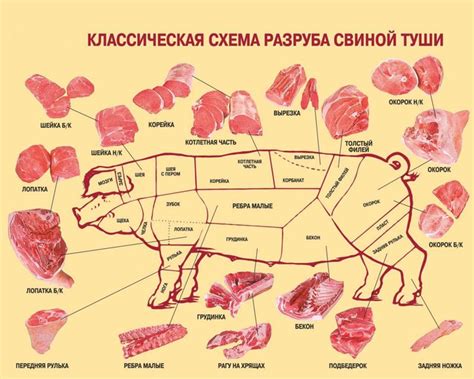 Исторические основы принципа воздержания от свиного мяса