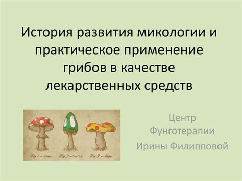История развития микологии в Рязанской области