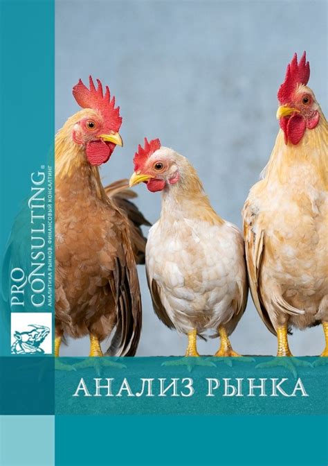 История формирования и значимость Тульского рынка птиц