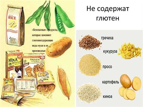 Источники возникновения устаревшего кукурузного клейковины в продуктах рациона питания