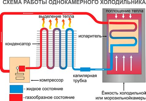 Компоненты холодильника, где размещается защитное устройство