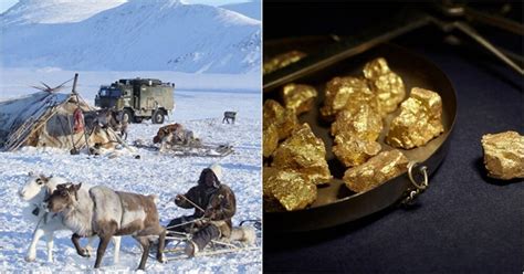 Крупнейшие находки черного золота в просторах Сахалинского региона