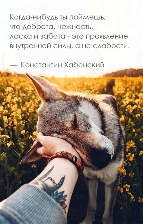 Ласка и забота: символическое значение мужского поцелуя в затылок