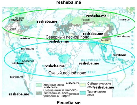 Лесные массивы: основные места обитания