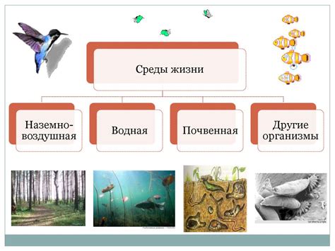 Места обитания и природные условия