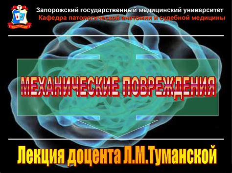 Механические повреждения картриджа: осмотр и восстановление функциональности