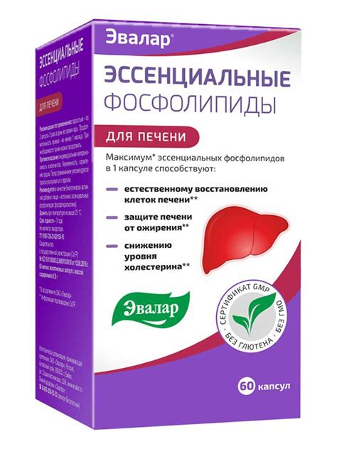 Недостаток фосфолипидов в организме: причины и последствия