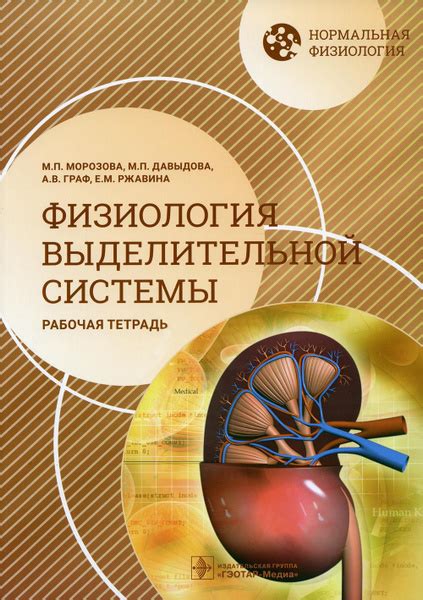 Незаменимый вклад выделительной системы в поддержание здоровья