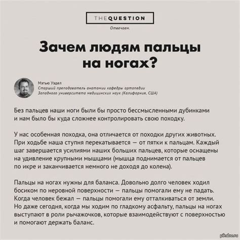 Неожиданные вопросы и активное внимание