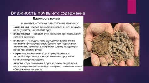 Неподходящая влажность почвы