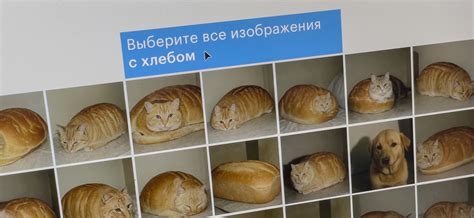 Не подтверждена капча в Мособлэирц