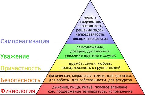 Обеспечение комфорта и удовлетворения потребности в кофе у пациентов и персонала