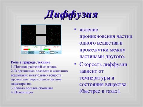 Основные отличия в скорости проникновения веществ
