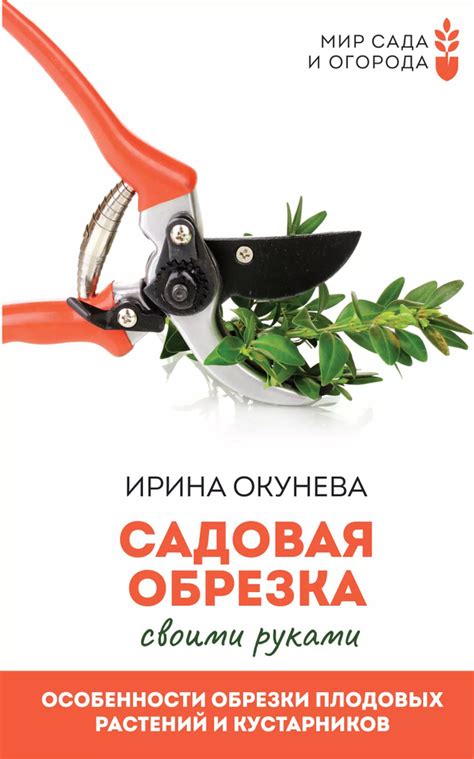 Особенности обрезки и санитарной обработки растений