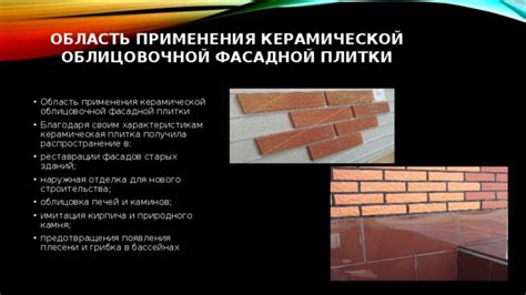 Особенности применения глиняной облицовочной массы для укладки керамической плитки