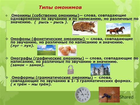 Отличия слова "сикать" от аналогичных по звучанию и написанию слов