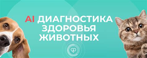 Перепроверка верности и преданности вокруг: значение сна о заботе о домашнем питомце