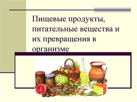Питательные вещества и минералы оковецкого источника: сокровищница природы