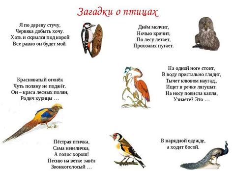 Поведение маленьких птиц: загадки и вероятные мотивы