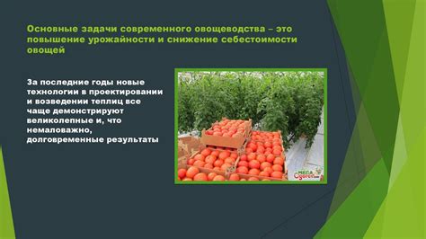 Повышение урожайности и снижение затрат: вклад безотходных методов в сельском хозяйстве