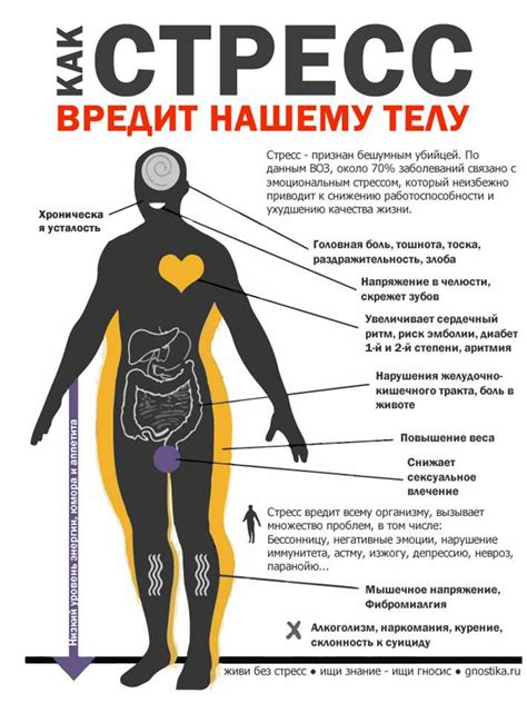 Познайте способы преодолеть чувство отсутствия