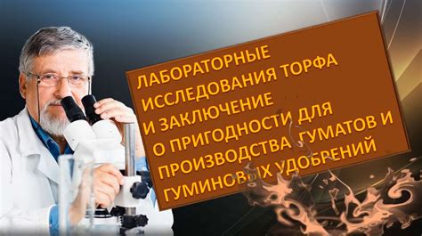 Поиск и анализ качества кислотного торфа: шаги и методы