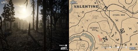 Поиск особой лошади в Red Dead Redemption 2: секретные места для начала приключений