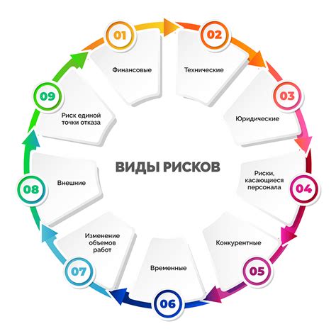 Потенциальные риски и негативные эффекты при избытке веществ группы В для домашних питомцев